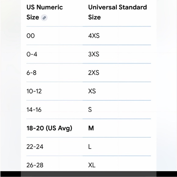 Free People X Universal Standatd Everest Long Hooded Puffer Black - Picture 10 of 11